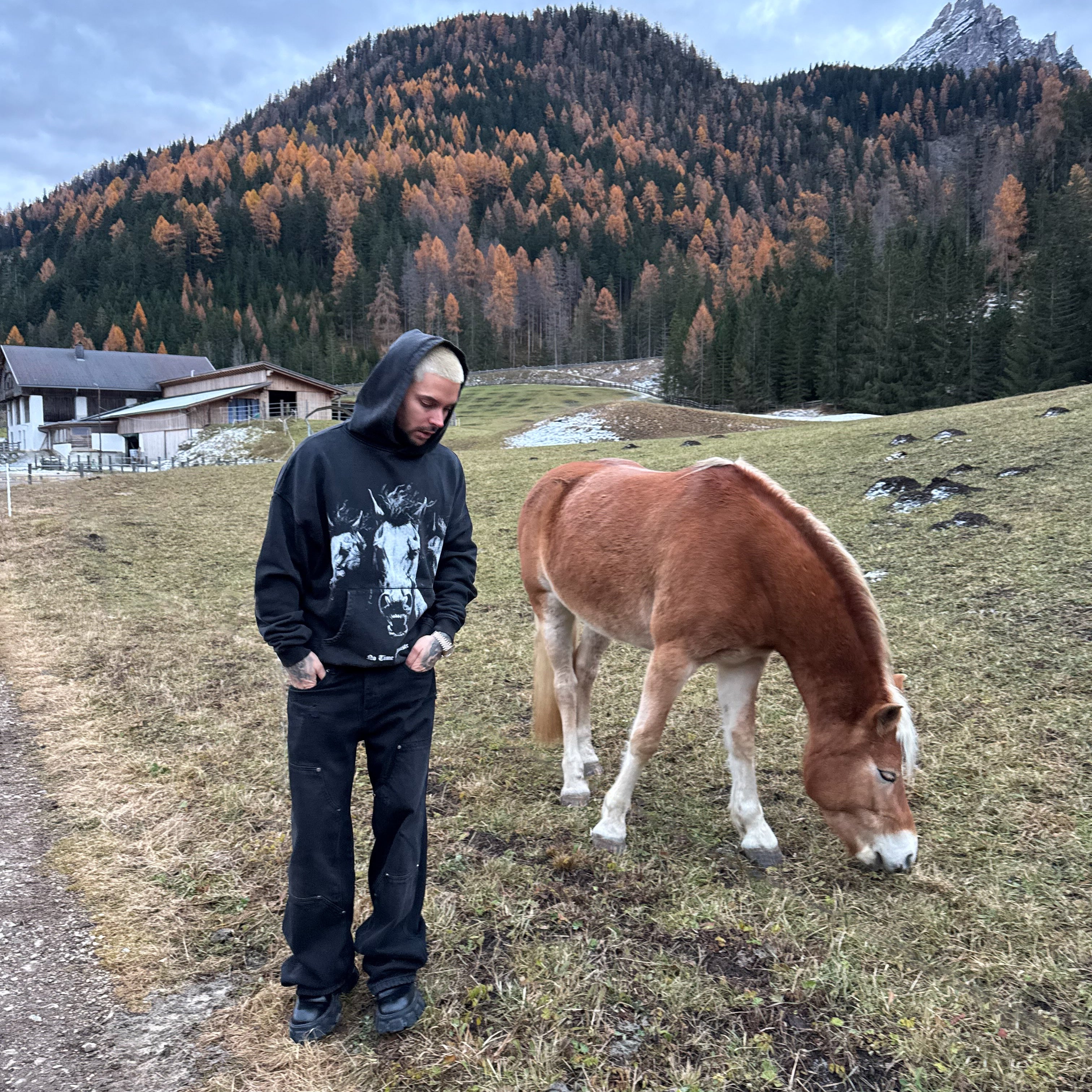 Midnight Ride Hoodie