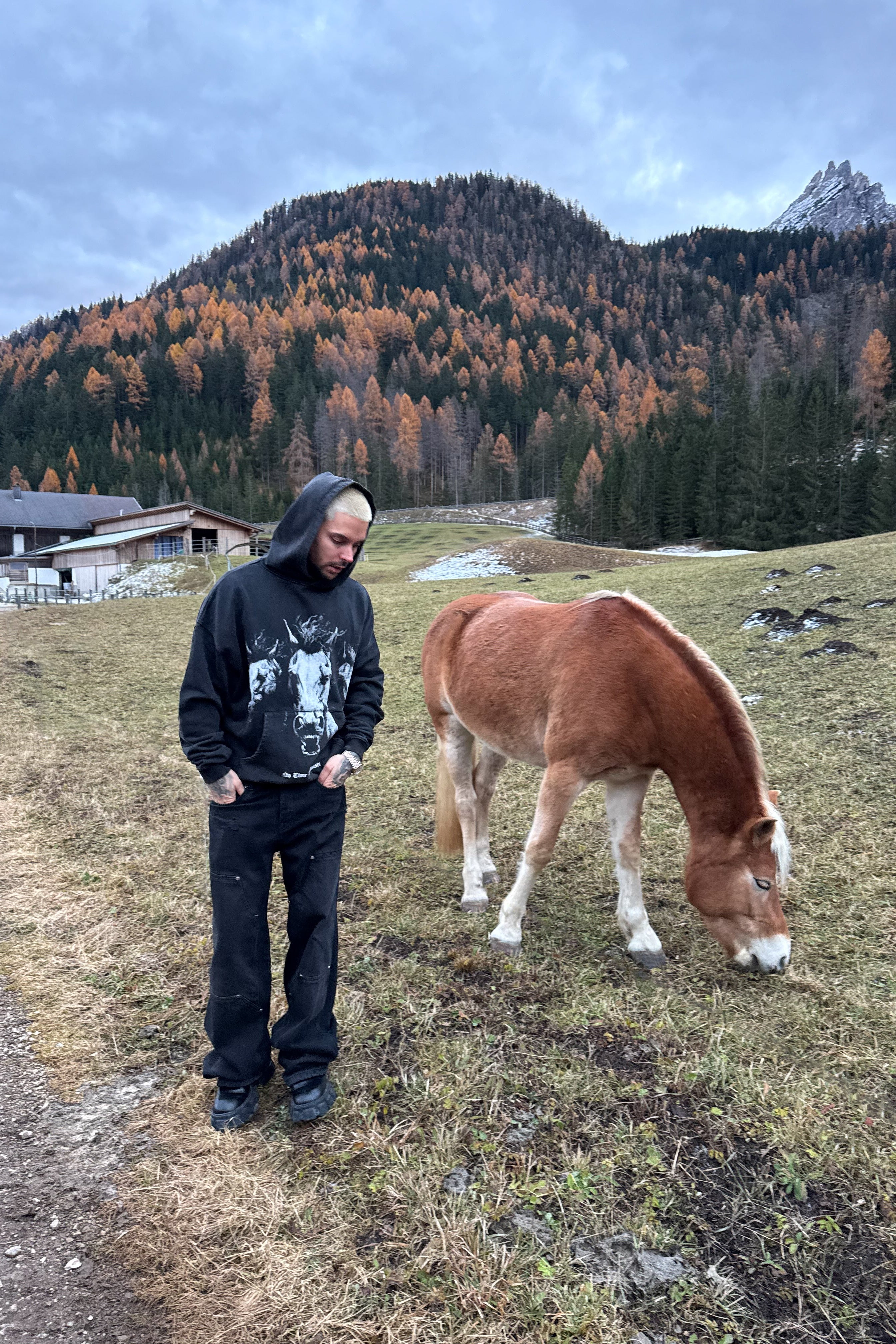Midnight Ride Hoodie